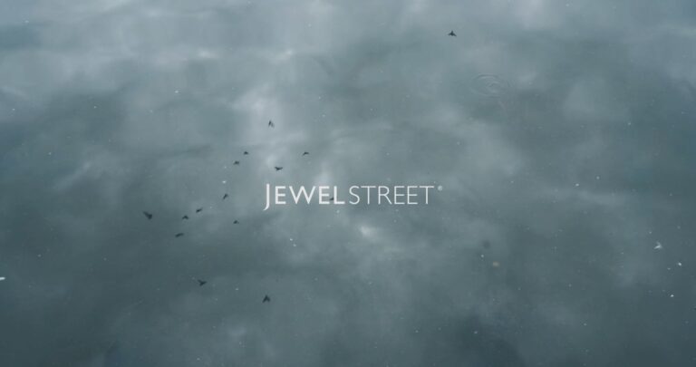Jewel Street – Paraffle Embroidery