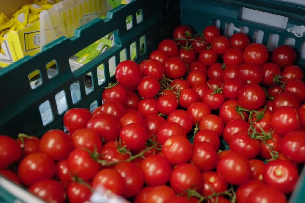 A vibrant display of fresh, ripe cherry tomatoes in a green basket at a market, showcasing their rich red colour and healthy appearance.