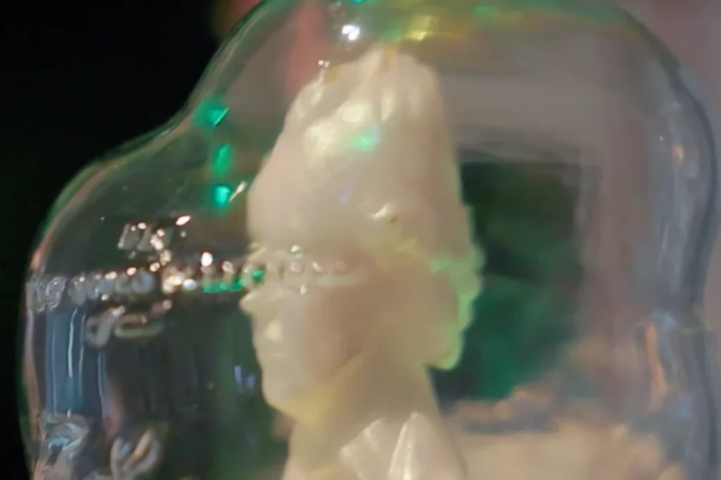 Close-up of a white bust with two faces arranged back to back, under a glass dome with a blurred, green background.
